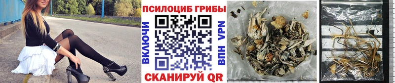 omg онион  дарнет шоп  Богородицк  Галлюциногенные грибы мицелий 
